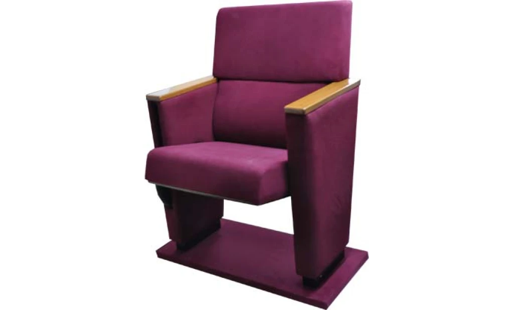 Comfortable Auditorium seat